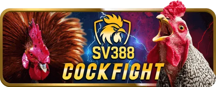 Quy tắc cá cược tại 911win Casino
