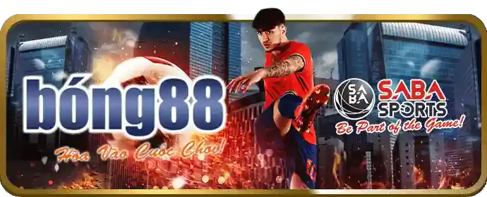 Quản lý Cookie tại 911win
